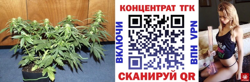 купить наркотик Мамадыш KRAKEN ССЫЛКА ТГК Wax