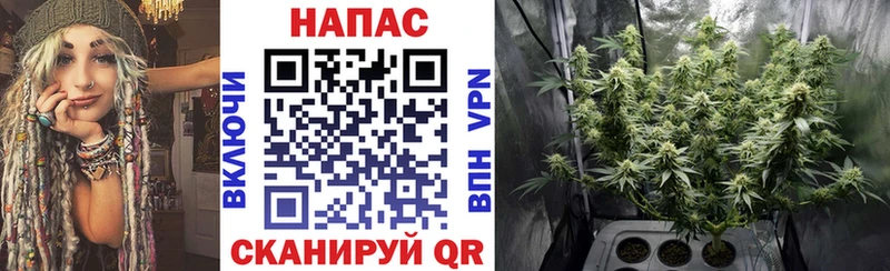blacksprut как зайти  Мамадыш  Каннабис MAZAR  хочу наркоту 